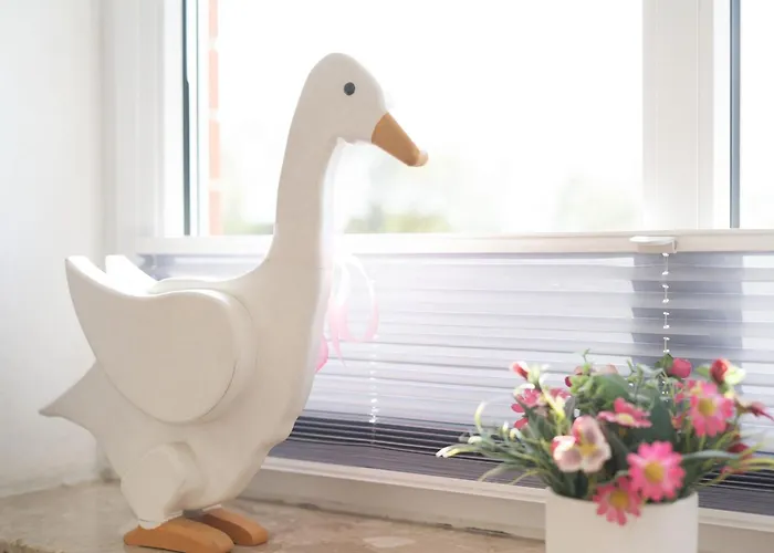 Kaiserhof 38 Muschelschnecke