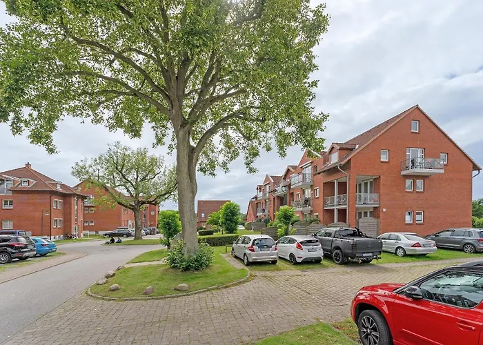 Kaiserhof 38 Muschelschnecke